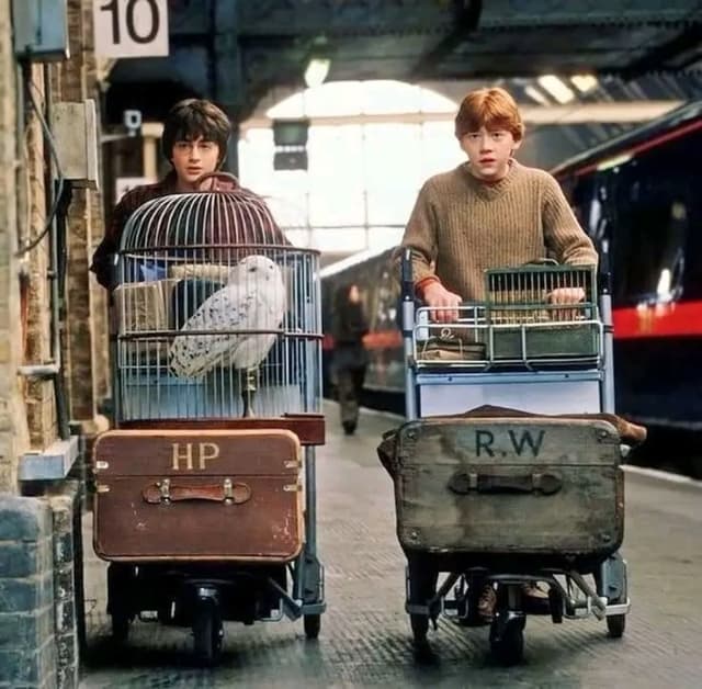 Dr. Tariq Al-Mahmoud